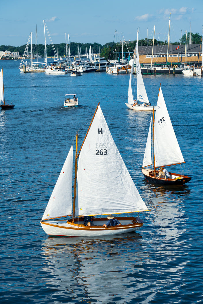Annapolis Sailing