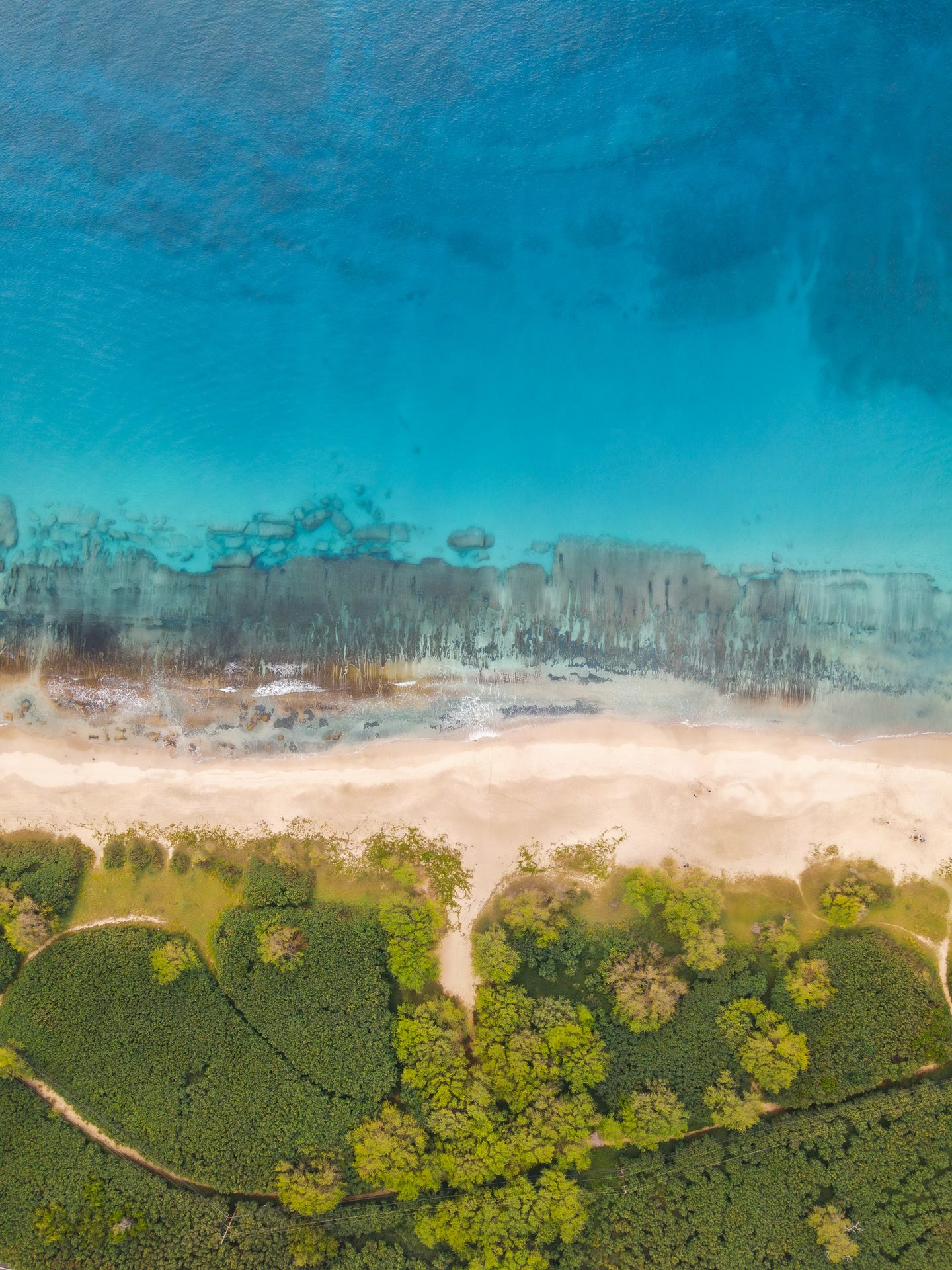 Hawaiian Beach